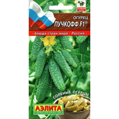 Пакет семян огурца ПУЧКОФФ F1 с изображением плодов и бренда АЗЛИТА