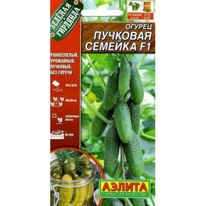 Пучковая Семейка F1 — огурцы на ветвях с банкой консервированных огурцов