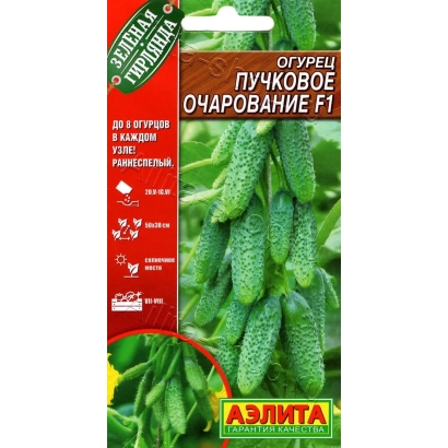 Пакет насіння огірків ПУЧКОВЕ ЗАХВАТУВАННЯ з зображенням зелених огірків