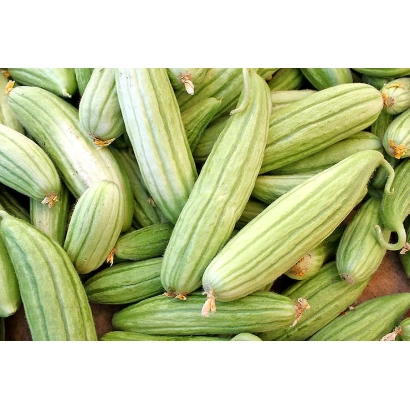 Свежие огурцы сорта ПУПСИК