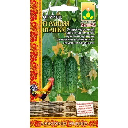 Seed packet for Early Bird cucumbers