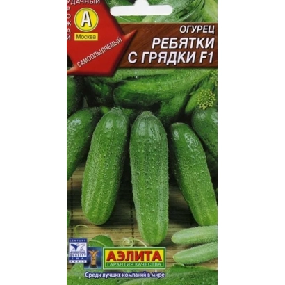 Seed packet of cucumber variety Rebyatki S Gryadki F1 by brand Aelita