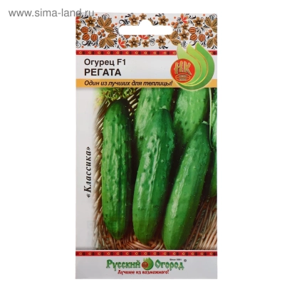 Пакет семян огурца РЕГАТА с изображением трёх огурцов