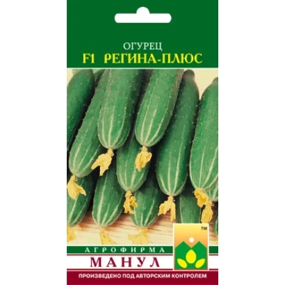 Семена огурца Регина-плюс F1 на зеленом фоне