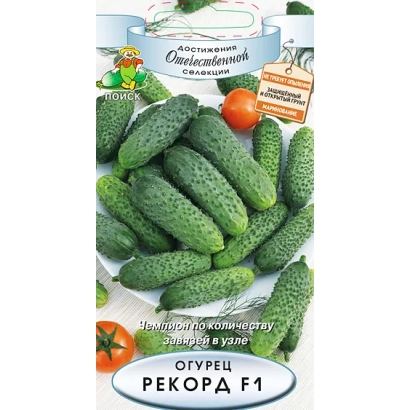 Пакет насіння огірочка Рекорд з зображенням зелених огірочків та написом ОГУРЕЦ PEKORA F1
