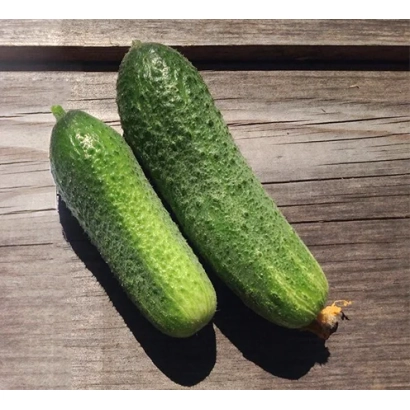 Два огурца на деревянной поверхности - РЭППЕР