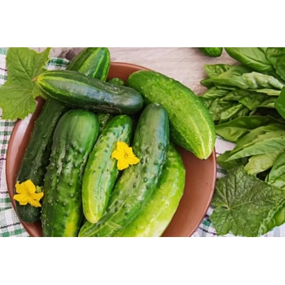 Свежие огурцы с цветами в миске на фоне зелени - Изобилие
