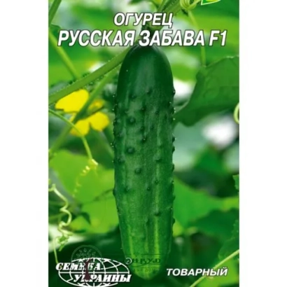 Семена огурца Русская забава F1 на зеленом фоне