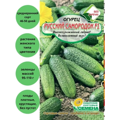 Насіння огірка Російський самородок F1 на зеленому фоні - РУССЬКИЙ САМОРОДОК