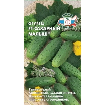 Sugar Baby F1 cucumber seeds on a green background with fruits