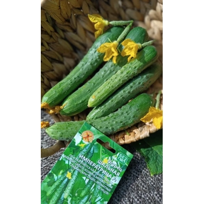 Пакет семян огурца Шальная Императрица на фоне свежих огурцов
