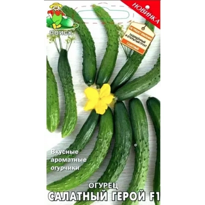 Cucumber Salad Hero F1 on leaf background with flower