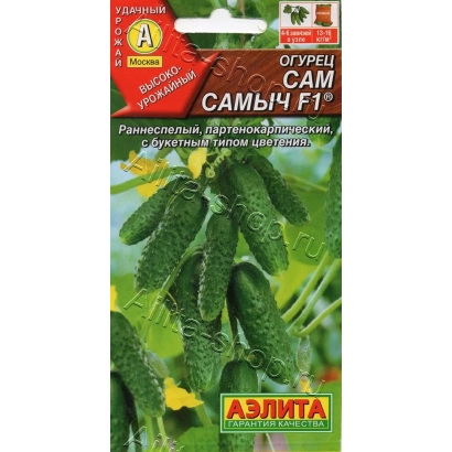 Seed packet of cucumber SAM SAMYCH with image of green cucumbers