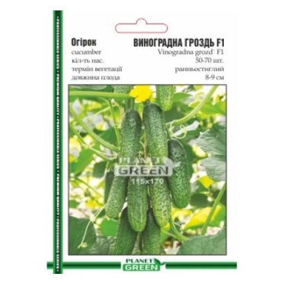Пакет насіння огірків ВИНОГРАДНА ГРОЗДЬ F1 з зображенням плодів на грядці - САМЕЕР