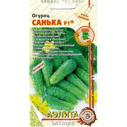 Seed packet of cucumber SANKA F1 with image of green cucumbers
