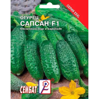 Пакет семян огурца Сапсан F1 с изображением зеленых огурцов и логотипом СеМБАТ.