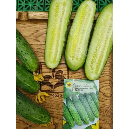 Пакет семян огурца на деревянной доске рядом с целыми и разрезанными огурцами - САПШО