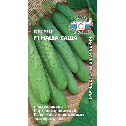 Семена огурца сорта Саша на мешковине