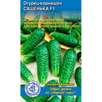 Пакет семян огурца-корнишона Сашенька F1