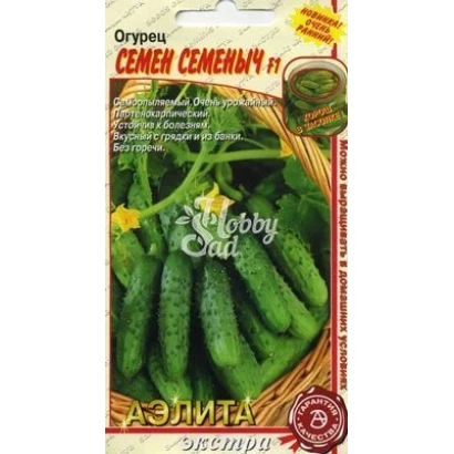 Seed packet of cucumber SEMEN SEMENYCH with image of green cucumbers