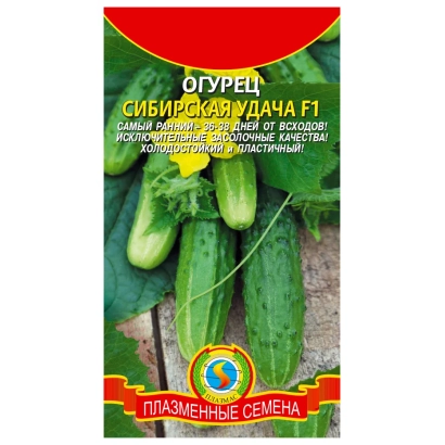 Пакет семян огурца СИБИРСКАЯ УДАЧА F1 с изображением зеленых огурцов
