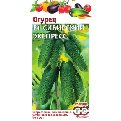 Пакет семян огурца Сибирский Экспресс с изображением зеленых огурцов