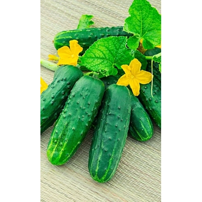Свежие огурцы с цветками на деревянной поверхности - СИНТЕЗ