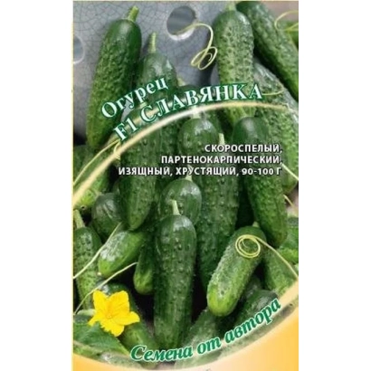 Пакет насіння огірка Славіанка - СЛАВ'ЯНКА