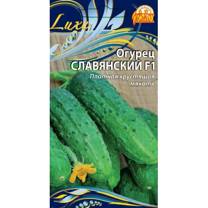 Семена огурца Славянский