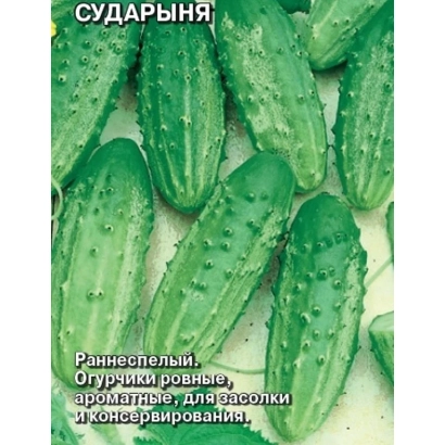 Насіння огірків Судариня на упаковці - Пані
