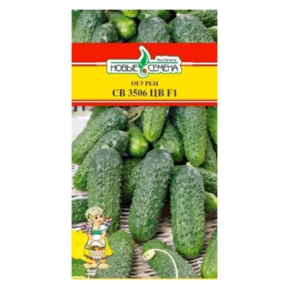 Пакет насіння огірка СВ 3506 НВ F1 - СВ3506ЦВ