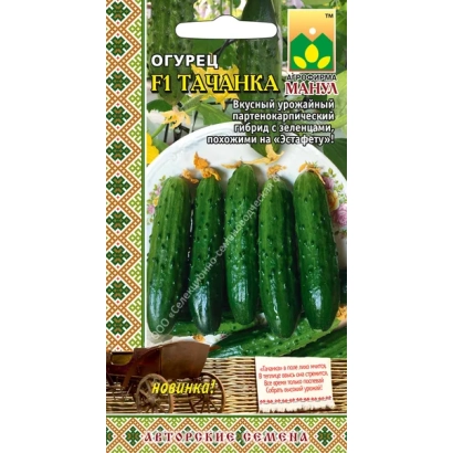 Seed packet of cucumber «Tachanka» with image of green cucumbers