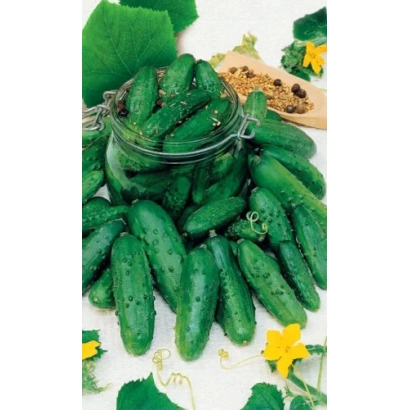Стеклянная банка с огурцами сорта ТЁЩИНО СЧАСТЬЕ на фоне зелёных листьев и цветов