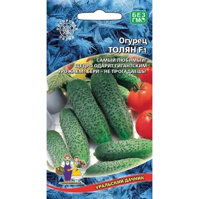 Пакет семян огурца ТОЛЯН с изображением огурцов и помидоров