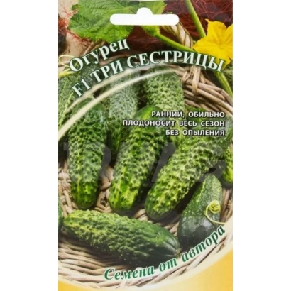 Пакет насіння огірка «Три сестриці» з зображенням огірків