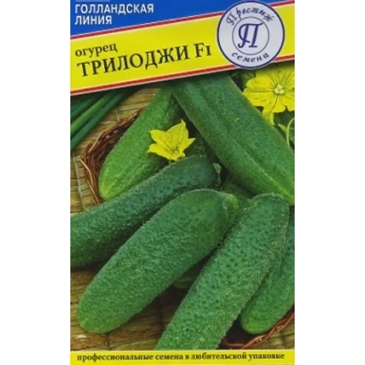 Seed packet of cucumber Trilodji F1 with image of green cucumbers and yellow flowers.