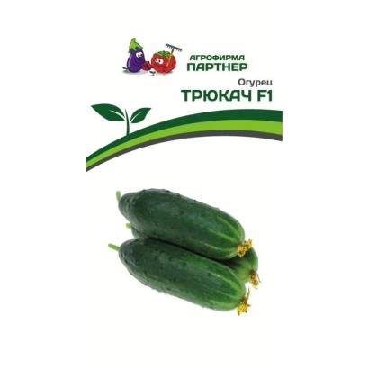 Насіння огірка Трюкач F1 на зеленому фоні з логотипом