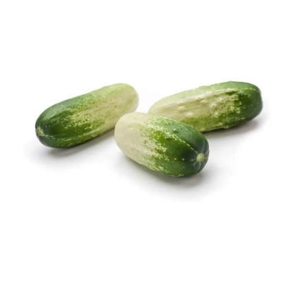 Три огурца сорта Твинфит на белом фоне