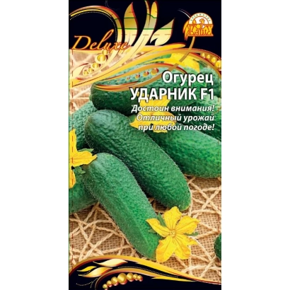 Пакет семян огурца Ударник F1 с изображением зеленых огурцов на соломе.