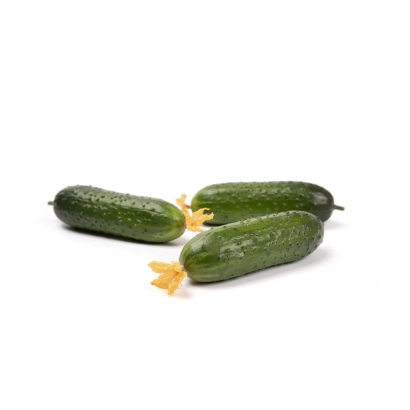 Three Valigora cucumbers on a white background