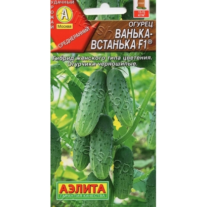 Насіння огірків ВАНЬКА-ВСТАНЬКА F1 на пакеті з зображенням огірків