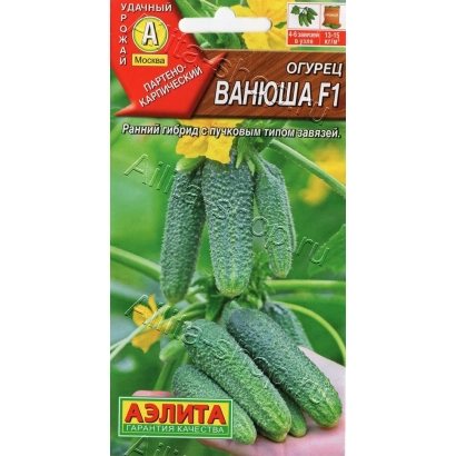 Seed packet of cucumber Vanyusha F1 with fruit image