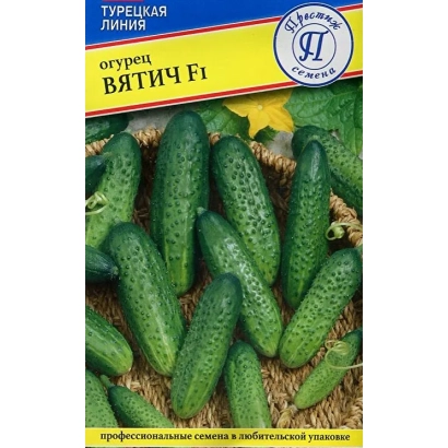 Пакет семян огурца ВЯТИЧ F1 с изображением свежих огурцов
