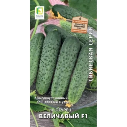 Семена огурца Величавый F1 на пакете с изображением плодов