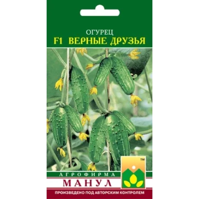 Seed packet of cucumber F1 Vernye druzia against green leaves