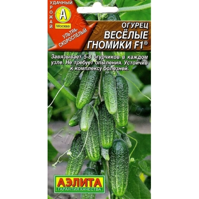Seed packet of cucumber variety 'Funny Gnomes F1' showing green cucumbers against leafy background
