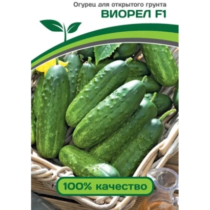 Seed packet of cucumber VIOREL F1