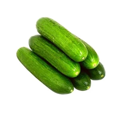 Свежие огурцы на белом фоне - Вижн