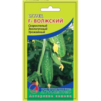 Cucumber seeds of the Volzhsky variety on packaging - VOLOKSKY