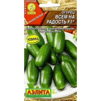 Seed packet for cucumber variety FOR EVERYONE'S DELIGHT F1 showing green cucumbers